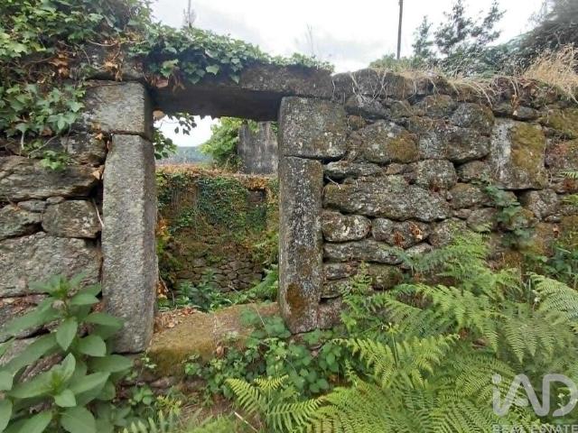 Terreno Agrícola em Chaviães e Paços