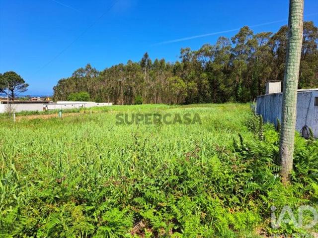Terreno Agrícola em Esmoriz