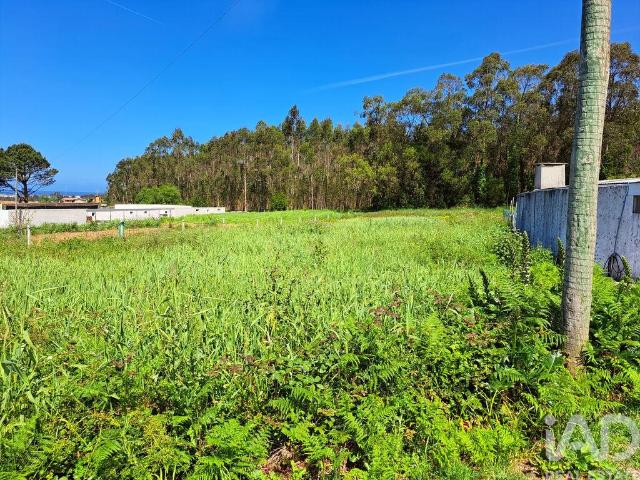 Terreno Agrícola em Esmoriz