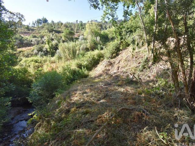 Terreno Agrícola em Espinhal