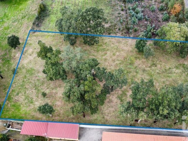 Terreno Agrícola em Figueiró dos Vinhos e Bairradas