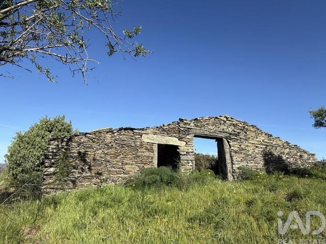 Terreno Agrícola em Vila Nova de Foz Côa