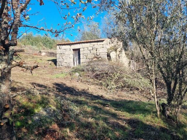 Terreno Agrícola em Juncais, Vila Ruiva e Vila Soeiro do Chão