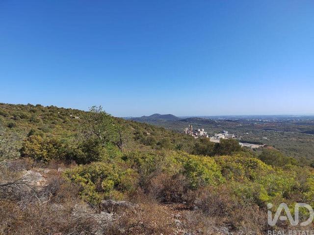 Terreno Agrícola em Loulé São Sebastião