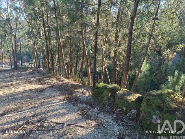 Terreno Agrícola em Paredes de Viadores e Manhuncelos