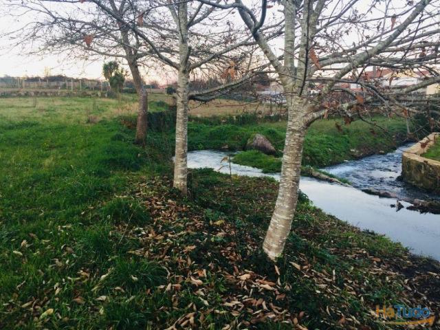 Terreno agrícola em Perelhal com 7 000m2 | 26082338647