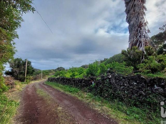 Terreno Agrícola em Piedade