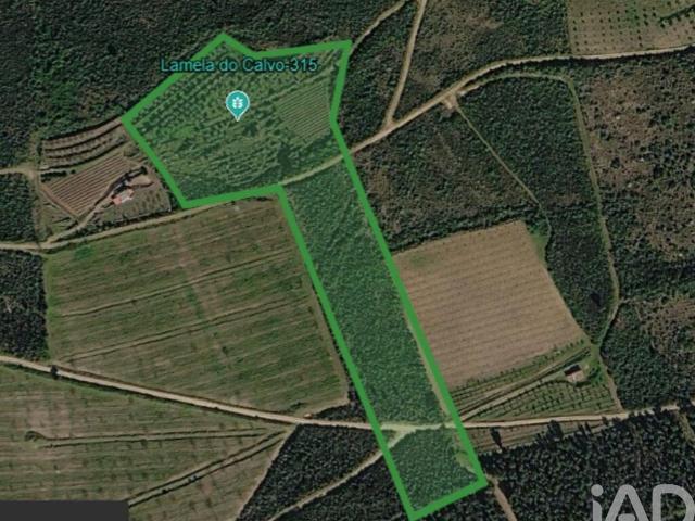Terreno Agrícola em Poiares