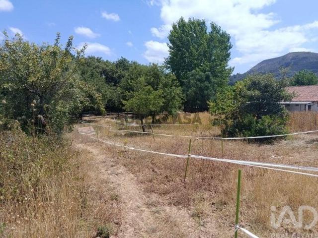 Terreno Agrícola em Porto de Mós São João Baptista e São Pedro