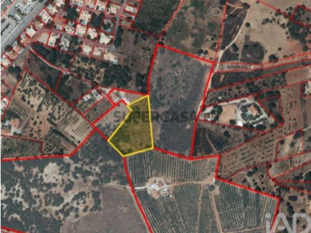 Terreno Agrícola em Quarteira