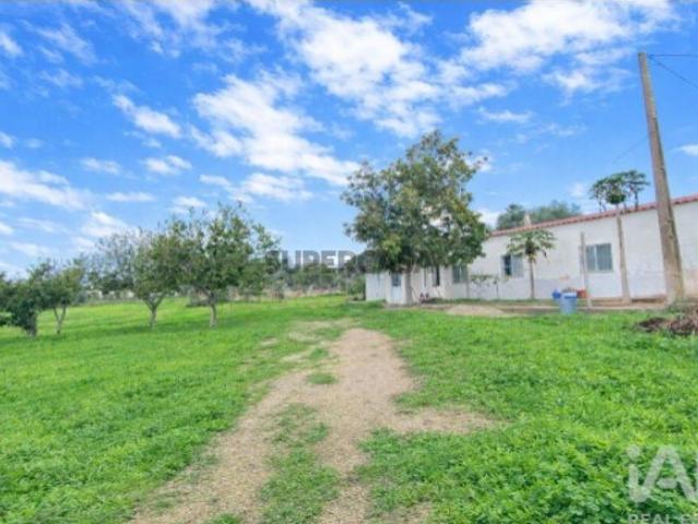 Terreno Agrícola em Quelfes