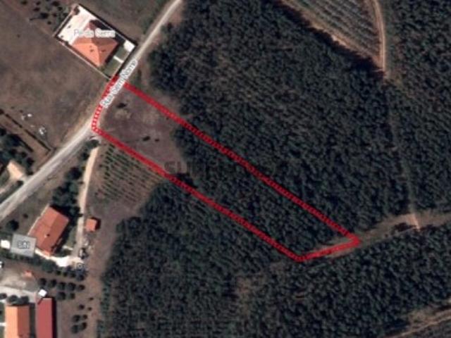 Terreno Agrícola em Rio Maior