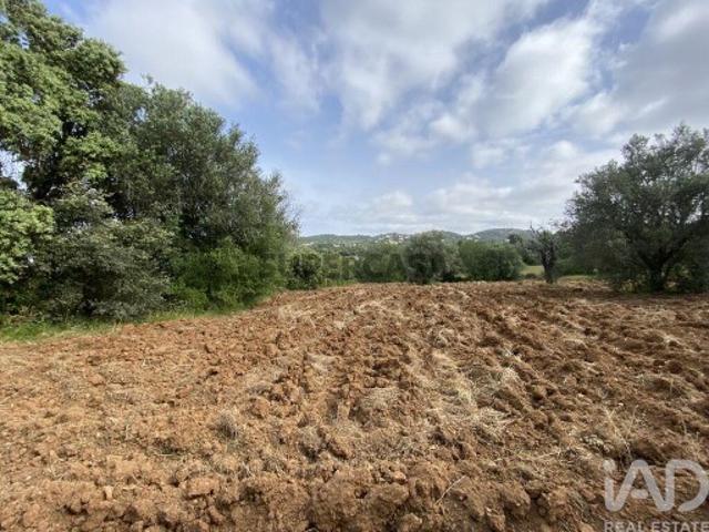 Terreno Agrícola em Santa Bárbara de Nexe