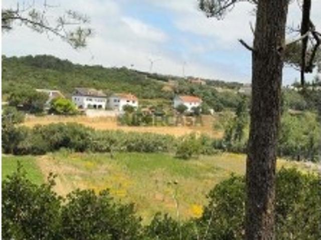 Terreno Agrícola em Santo Isidoro