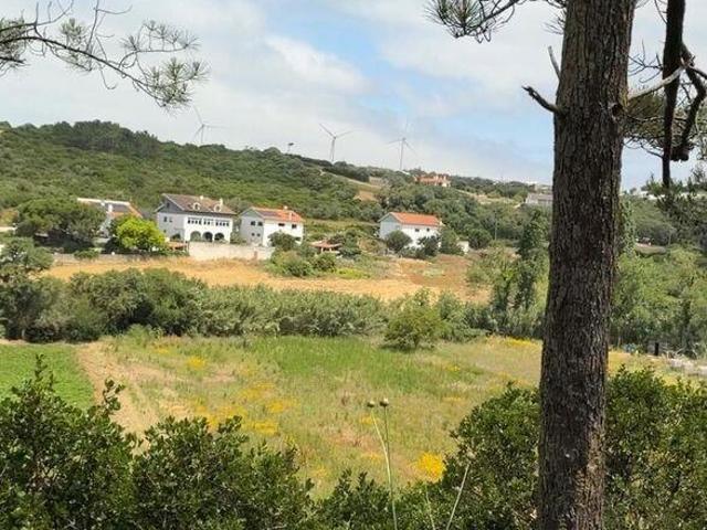 Terreno Agrícola em Santo Isidoro