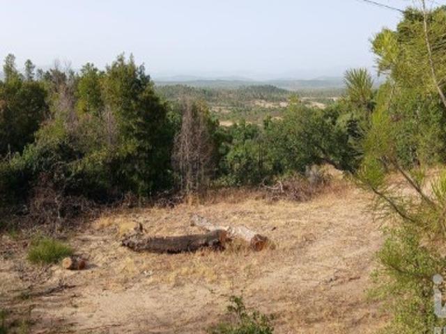 Terreno Agrícola em Sarzedas
