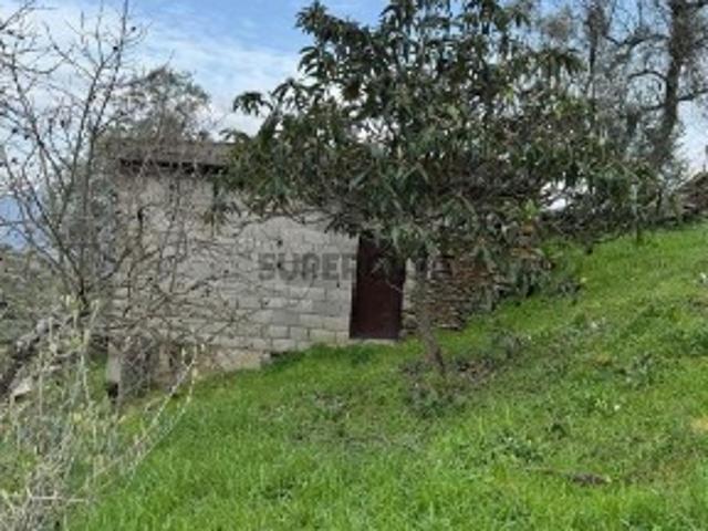 Terreno Agrícola em Tabuaço