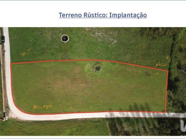 Terreno Agrícola em Vagos e Santo António