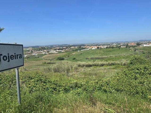 Terreno Agrícola em Vilar