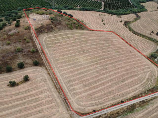 Terreno agrícola en Alhaurín de la Torre, Málaga
