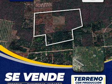 Terreno AGRICOLA en CARRETERA OXKUTZCAB TEABO