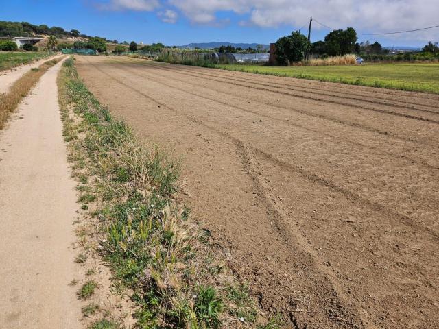 Terreno agricola en venta en Malgrat de Mar
