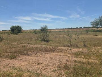 Terreno Agricola en Venta, los Mochis, Ahome, Sinaloa