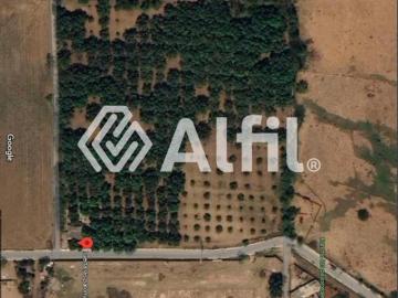 Terreno Agrícola en Venta – Tondoroque, Bahía de Banderas, Nayarit