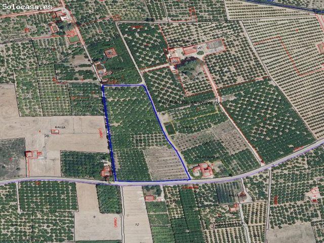 Terreno agrícola en venta – 13.013 m2 con cultivo de naranjos en producción en Corbera, Valencia