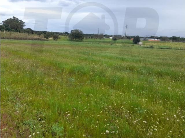 Terreno Agrícola Foros da Charneca 50.000€