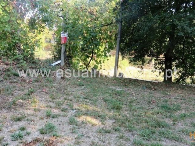 Terreno Agrícola Goães | 26081032986
