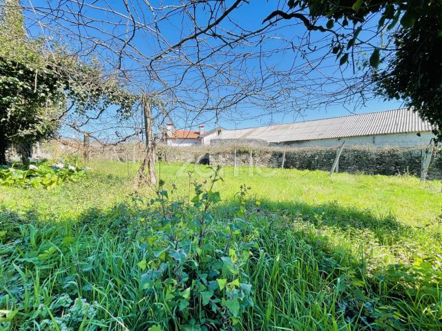 Terreno Agrícola Gondifelos