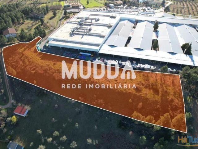 Terreno Agrícola junto à Fábrica Forvia Faurecia em Bragança! | 26083757465