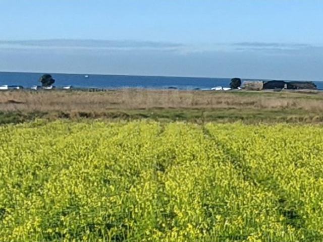 Terreno Agrícola para Venda Areosa, Viana do Castelo