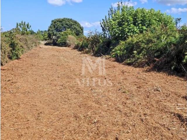 Terreno agrícola para venda em Cardielos Viana do Castelo