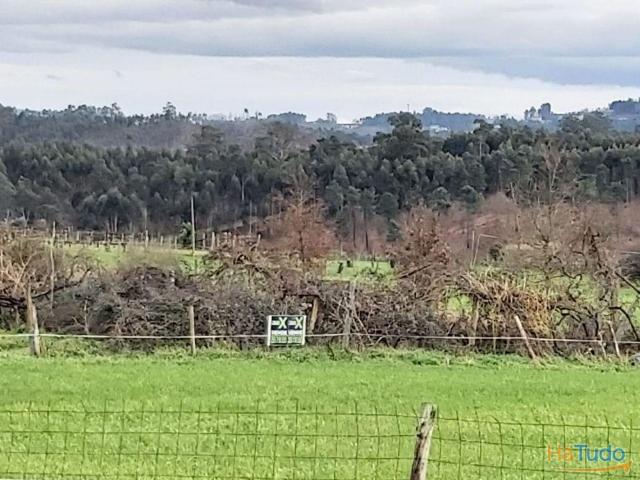 Terreno agrícola, para venda, Lousada Silvares, Pias, Nogueira e Alvarenga | 26082918480