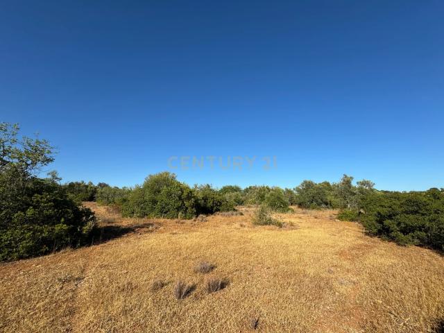 Terreno Agrícola para Venda – Santa Catarina, Tavira com 10.320 m2