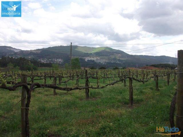 Terreno agrícola, para venda, Póvoa de Lanhoso Campos e Louredo | 26083709218