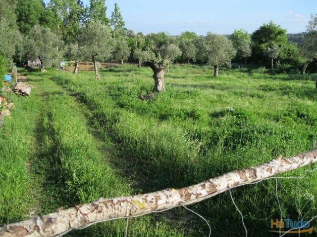 TERRENO AGRÍCOLA. POÇO. ÁRVORES. RESERVATÓRIO. | 26061780898