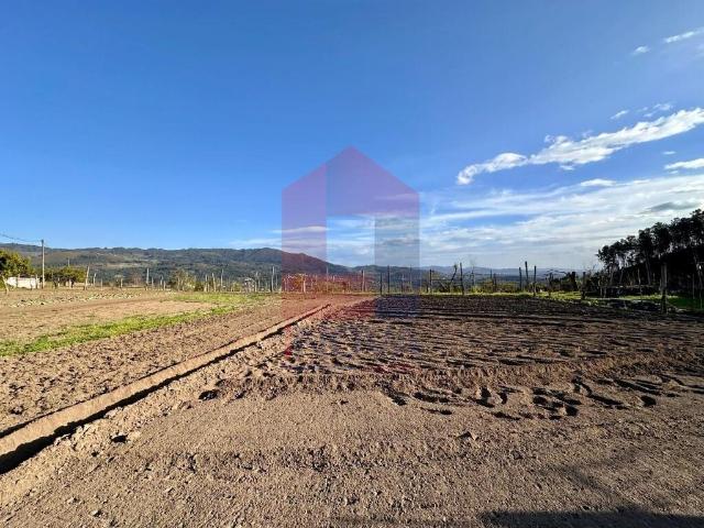 Terreno agrícola, Ponte