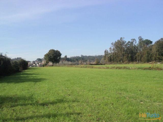 Terreno Agrícola Prozelo | 26083626812