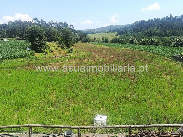 Terreno Agrícola Prozelo