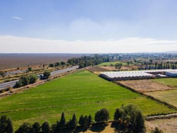 TERRENO, AGRICOLA SANTO TOMAS