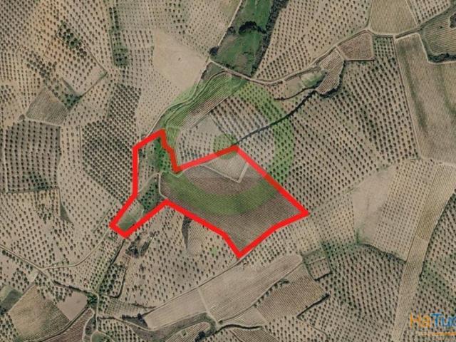 Terreno agrícola situado em Miradeses | 26084094642