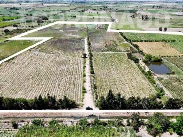 Terreno Agricola Venta Paijan – Macabi Bajo