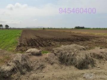 Terreno Agricola VIRU