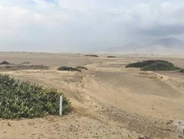Terreno Agrícola 25 Has. Ubicado a la altura del KM 641