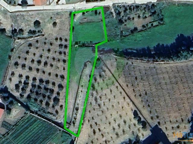 Terreno agrícola | 26063920846
