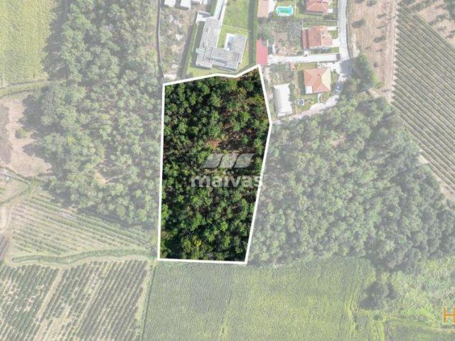 Terreno agrícola | 26073831181