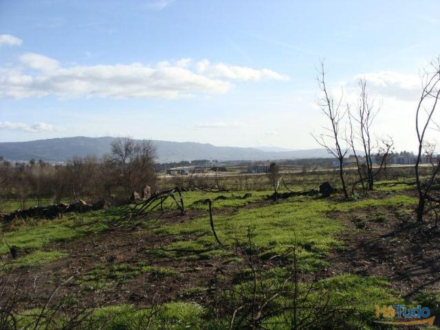 Terreno Agrícola | 26080200713